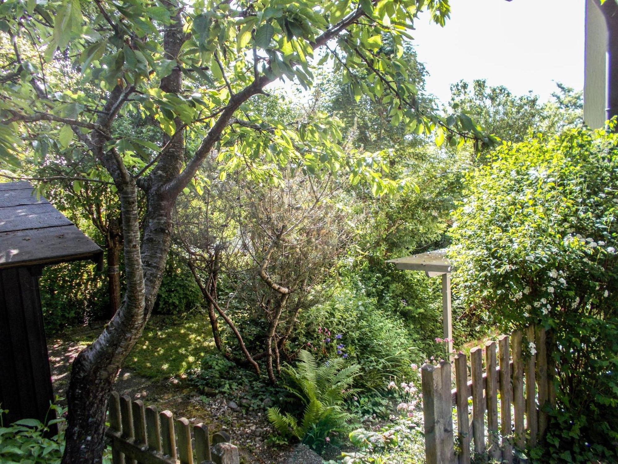 Im Herzen Der Natur Herdwangen-Schönach Esterno foto